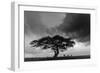 Acacia Tree, Serengeti National Park, Tanzania-Art Wolfe-Framed Photographic Print