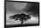 Acacia Tree, Serengeti National Park, Tanzania-Art Wolfe-Framed Photographic Print