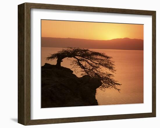 Acacia Tree Silhouetted Against Lake at Sunrise, Lake Langano, Ethiopia, Africa-D H Webster-Framed Photographic Print