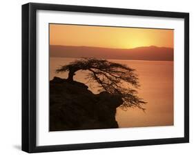 Acacia Tree Silhouetted Against Lake at Sunrise, Lake Langano, Ethiopia, Africa-D H Webster-Framed Photographic Print