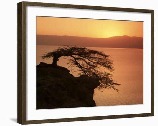 Acacia Tree Silhouetted Against Lake at Sunrise, Lake Langano, Ethiopia, Africa-D H Webster-Framed Photographic Print