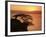 Acacia Tree Silhouetted Against Lake at Sunrise, Lake Langano, Ethiopia, Africa-D H Webster-Framed Photographic Print