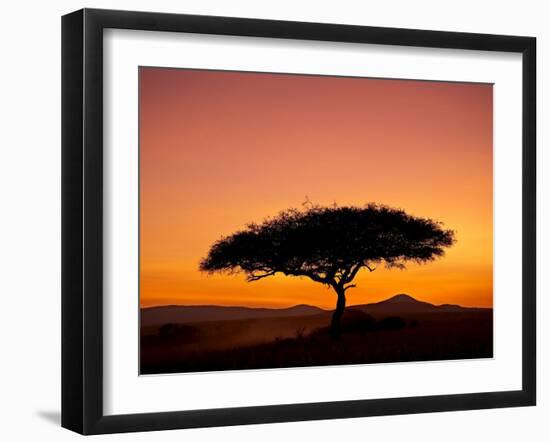 Acacia Tree Silhouetted at Dawn, Masai Mara Game Reserve, Kenya, East Africa, Africa-James Hager-Framed Photographic Print