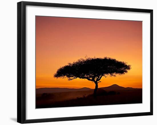 Acacia Tree Silhouetted at Dawn, Masai Mara Game Reserve, Kenya, East Africa, Africa-James Hager-Framed Photographic Print