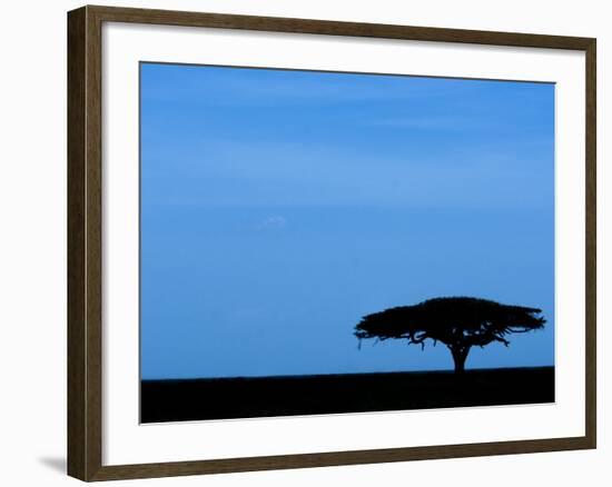 Acacia Tree Silhouetted, Tanzania-Edwin Giesbers-Framed Photographic Print
