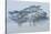 Acacia Trees covered by mist, Lake Nakuru, Kenya-Panoramic Images-Stretched Canvas