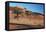 Acacia Trees in Elim Dune, Namib-Naukluft, Namibia-Charles Crust-Framed Stretched Canvas