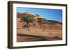 Acacia Trees in Elim Dune, Namib-Naukluft, Namibia-Charles Crust-Framed Photographic Print