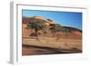 Acacia Trees in Elim Dune, Namib-Naukluft, Namibia-Charles Crust-Framed Photographic Print