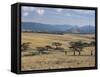 Acacia Trees on High Grasslands in Front of Bale Mountains, Southern Highlands, Ethiopia, Africa-Tony Waltham-Framed Stretched Canvas