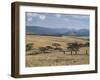 Acacia Trees on High Grasslands in Front of Bale Mountains, Southern Highlands, Ethiopia, Africa-Tony Waltham-Framed Photographic Print