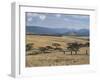 Acacia Trees on High Grasslands in Front of Bale Mountains, Southern Highlands, Ethiopia, Africa-Tony Waltham-Framed Photographic Print