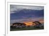 Acacia trees silhouetted at sunset, Serengeti National Park, Tanzania, Africa-Adam Jones-Framed Photographic Print