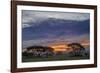 Acacia trees silhouetted at sunset, Serengeti National Park, Tanzania, Africa-Adam Jones-Framed Photographic Print