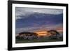 Acacia trees silhouetted at sunset, Serengeti National Park, Tanzania, Africa-Adam Jones-Framed Photographic Print