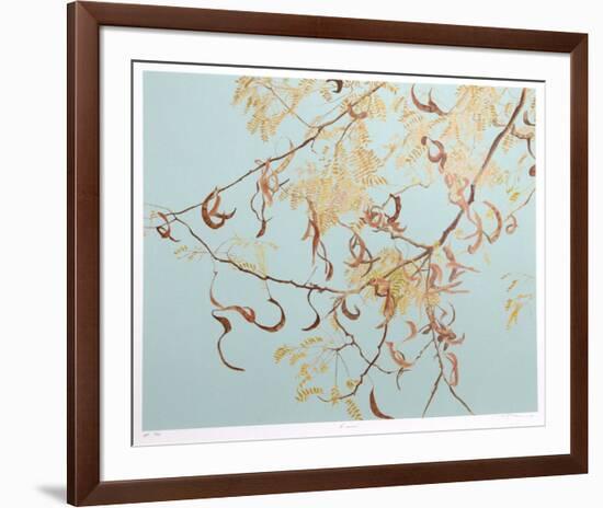 Acacia-Jon D'Orazio-Framed Collectable Print