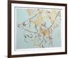 Acacia-Jon D'Orazio-Framed Collectable Print