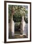 Acacia-Poch Romeu-Framed Giclee Print