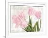 Academie des Fleurs-Jenny Thomlinson-Framed Art Print