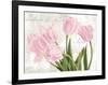 Academie des Fleurs-Jenny Thomlinson-Framed Art Print