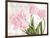 Academie des Fleurs-Jenny Thomlinson-Framed Art Print