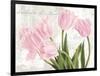 Academie des Fleurs-Jenny Thomlinson-Framed Art Print