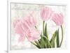 Academie des Fleurs-Jenny Thomlinson-Framed Art Print