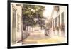 Academy Avenue, Nantucket, Massachusetts-null-Framed Art Print