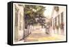 Academy Avenue, Nantucket, Massachusetts-null-Framed Stretched Canvas