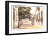 Academy Avenue, Nantucket, Massachusetts-null-Framed Art Print