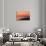 Acadia Dawn-Steve Gadomski-Photographic Print displayed on a wall