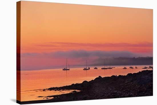 Acadia Dawn-Steve Gadomski-Stretched Canvas