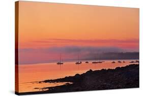 Acadia Dawn-Steve Gadomski-Stretched Canvas