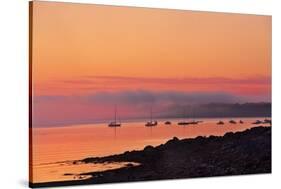 Acadia Dawn-Steve Gadomski-Stretched Canvas