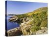 Acadia National Park Coastline, Maine, New England, USA-Roy Rainford-Stretched Canvas