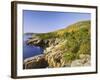 Acadia National Park Coastline, Maine, New England, USA-Roy Rainford-Framed Photographic Print