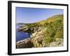 Acadia National Park Coastline, Maine, New England, USA-Roy Rainford-Framed Photographic Print