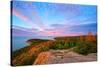 Acadia National Park, Maine - Cadillac Mountains-Lantern Press-Stretched Canvas