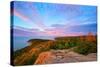 Acadia National Park, Maine - Cadillac Mountains-Lantern Press-Stretched Canvas