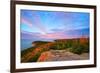 Acadia National Park, Maine - Cadillac Mountains-Lantern Press-Framed Premium Giclee Print