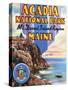 Acadia National Park, ME - Large Letter Scene, View of Great Head and Maine Seal-Lantern Press-Stretched Canvas