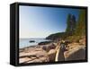 Acadia National Park, Mount Desert Island, Maine, New England, USA, North America-Alan Copson-Framed Stretched Canvas