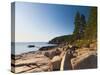 Acadia National Park, Mount Desert Island, Maine, New England, USA, North America-Alan Copson-Stretched Canvas