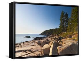 Acadia National Park, Mount Desert Island, Maine, New England, USA, North America-Alan Copson-Framed Stretched Canvas