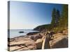 Acadia National Park, Mount Desert Island, Maine, New England, USA, North America-Alan Copson-Stretched Canvas