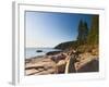 Acadia National Park, Mount Desert Island, Maine, New England, USA, North America-Alan Copson-Framed Photographic Print