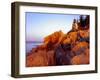 Acadia NP, Maine. Bass Harbor Head Lighthouse at Sunrise-Scott T. Smith-Framed Premium Photographic Print