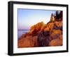 Acadia NP, Maine. Bass Harbor Head Lighthouse at Sunrise-Scott T. Smith-Framed Premium Photographic Print