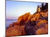 Acadia NP, Maine. Bass Harbor Head Lighthouse at Sunrise-Scott T. Smith-Mounted Premium Photographic Print