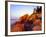 Acadia NP, Maine. Bass Harbor Head Lighthouse at Sunrise-Scott T. Smith-Framed Photographic Print